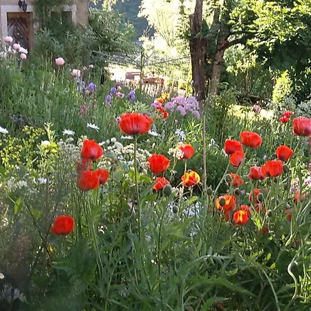 Bed and Breakfast La Combe Fleurie Villers-le-Lac Exterior foto